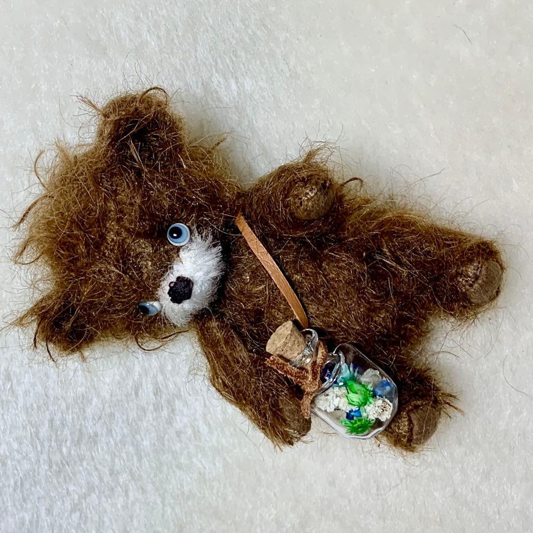 h*i様 テディベア 個性的な子 ブラウンカラー ポンチ目 可愛い