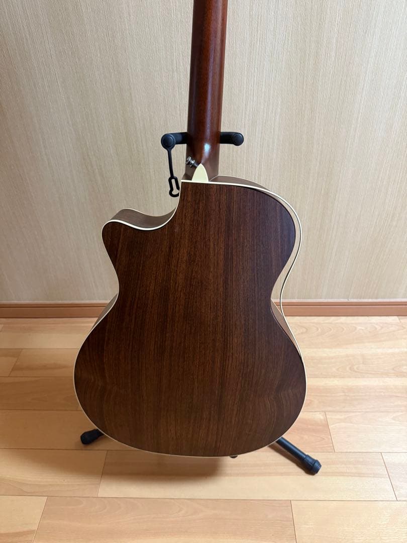 ギター Martin & co. GPC-16E-01