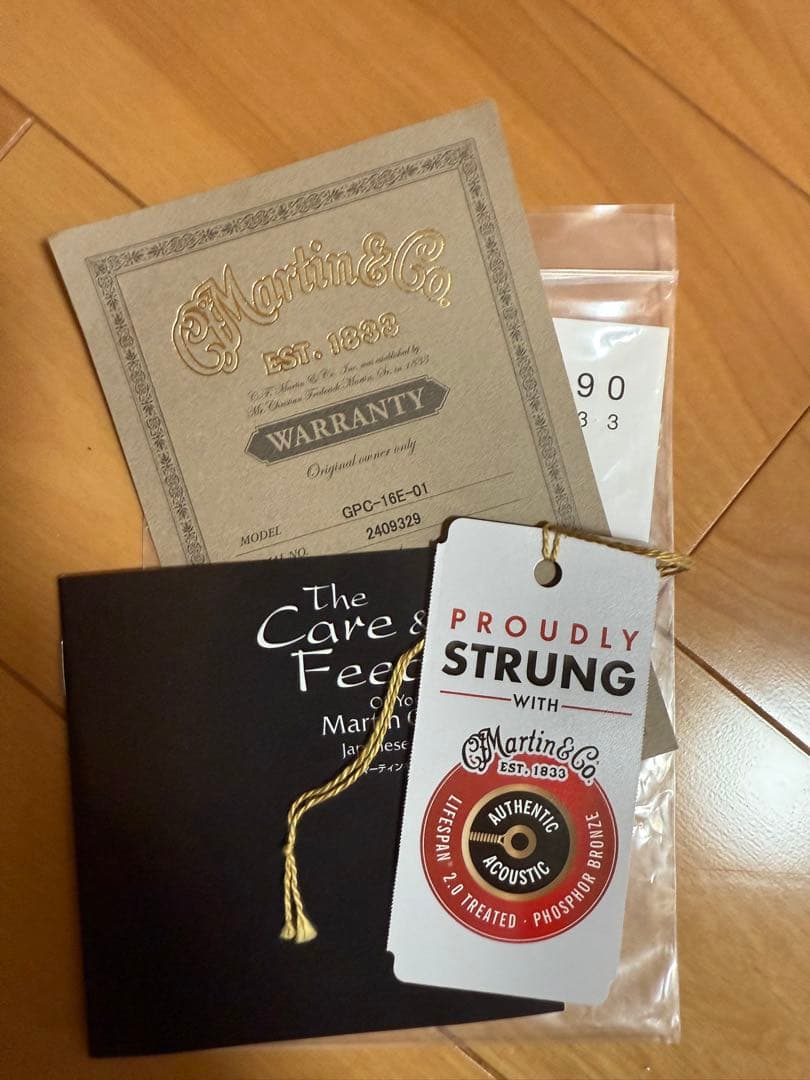 ギター Martin & co. GPC-16E-01