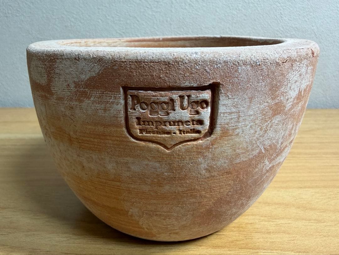 Supreme / Poggi Ugo Small Planter 新品未使用