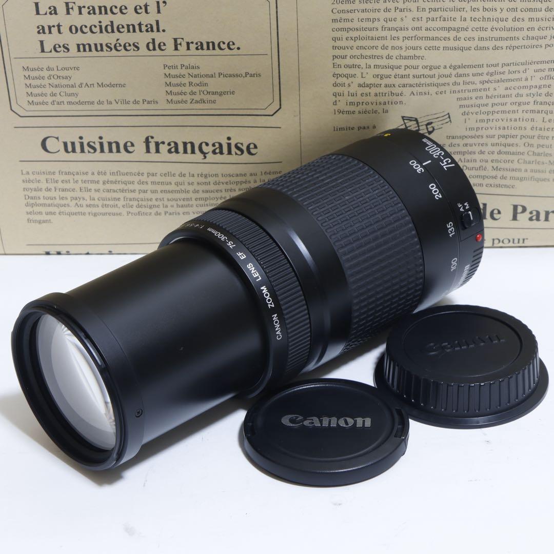 ◇大迫力超望遠◇ Canon純正 75-300mm II型 超望遠レンズ!!◇