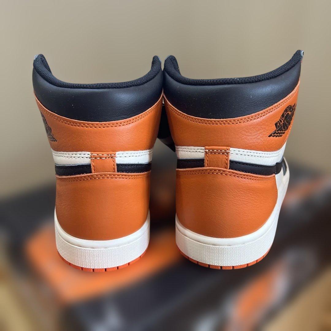 Air Jordan 1 Shattered Backboard シャタバ　28