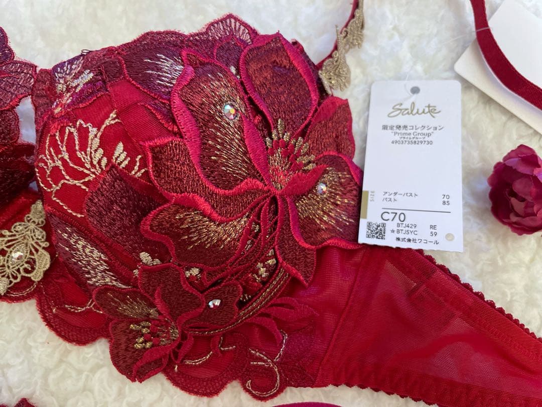 サルート C70/M 29 RE ガレ 限定コレクション