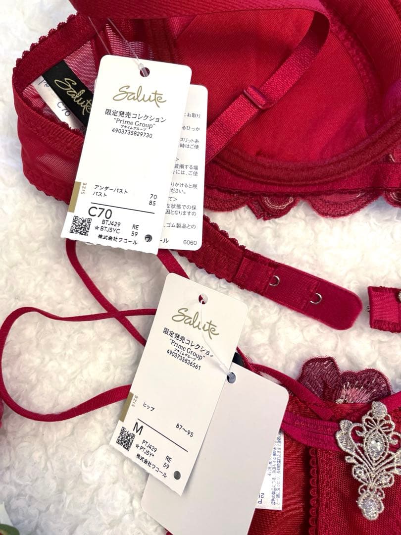 サルート C70/M 29 RE ガレ 限定コレクション