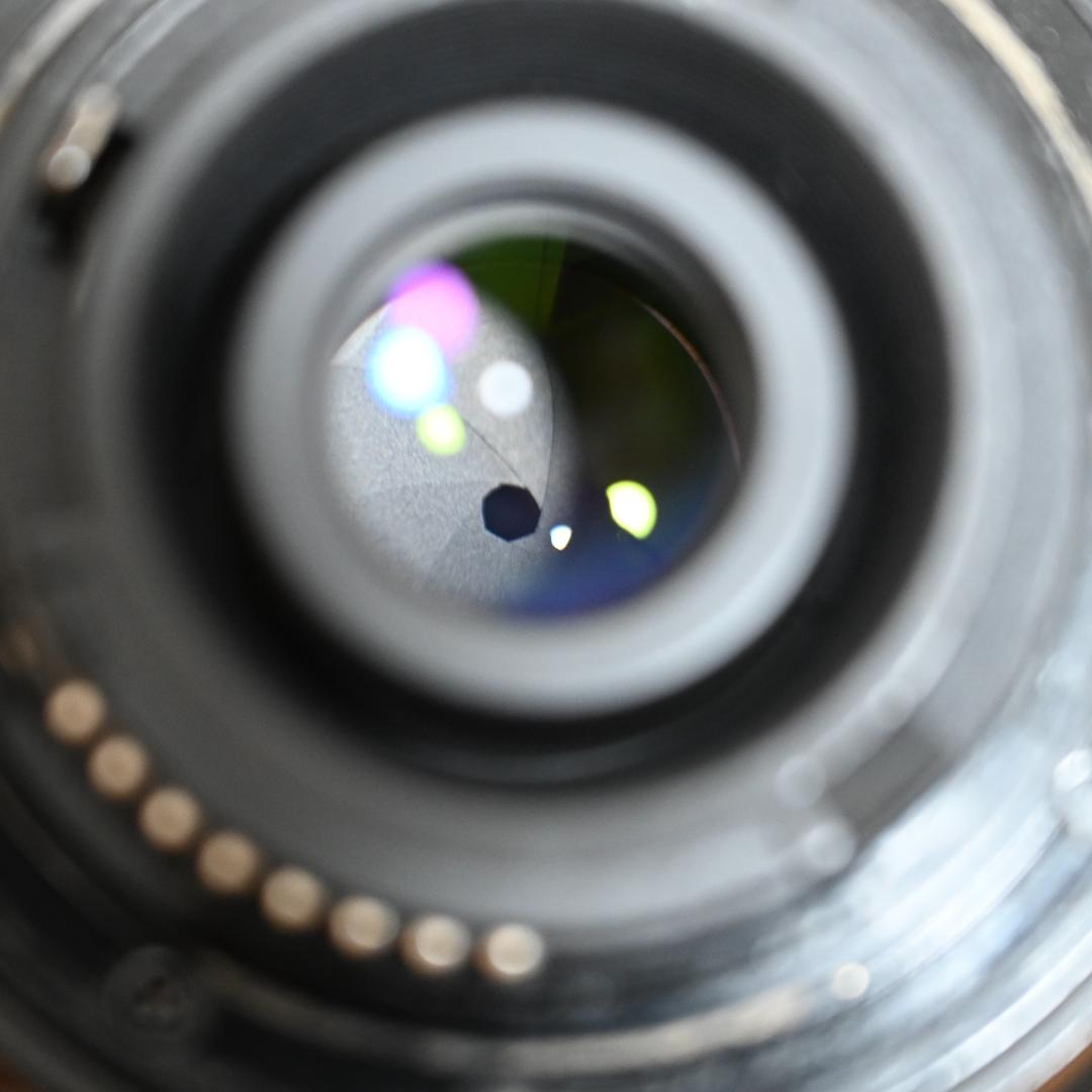 【週末限定大幅値下げ！】Nikon F80D＋標準レンズ+ストラップ新品