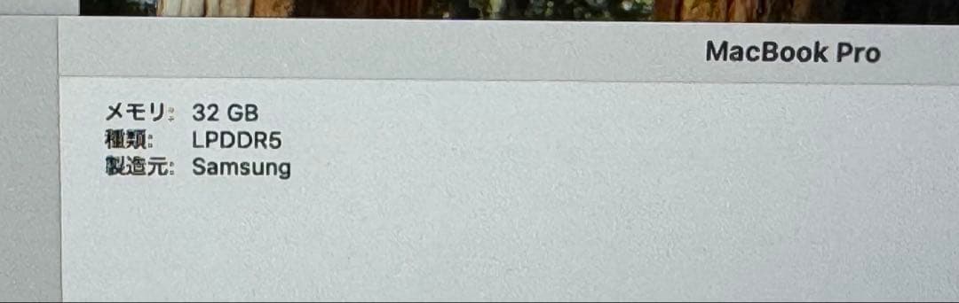 MacBook Pro 2021 M1 Max 16インチ 32GB 2TB