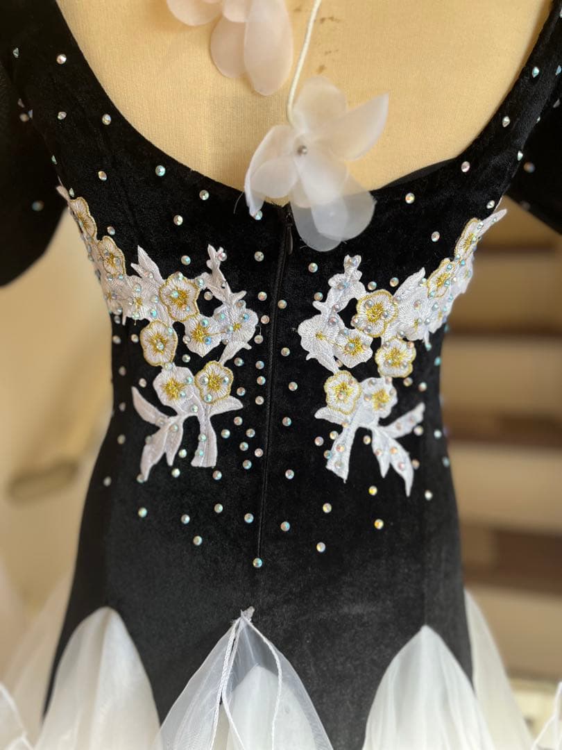 社交ダンス正装スタンダードドレス　M