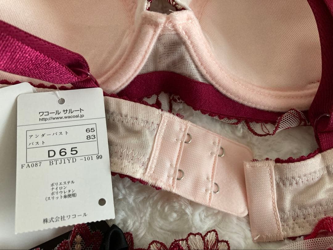 サルート/D65&M/王龍