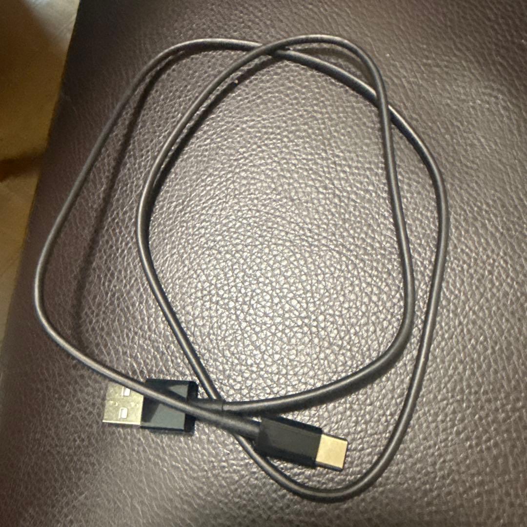 Brighte スカルプブラシ USB充電式