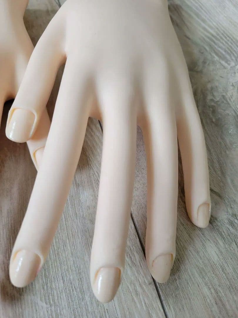 JNEC ネイリスト技能検定試験用 認定モデルハンド