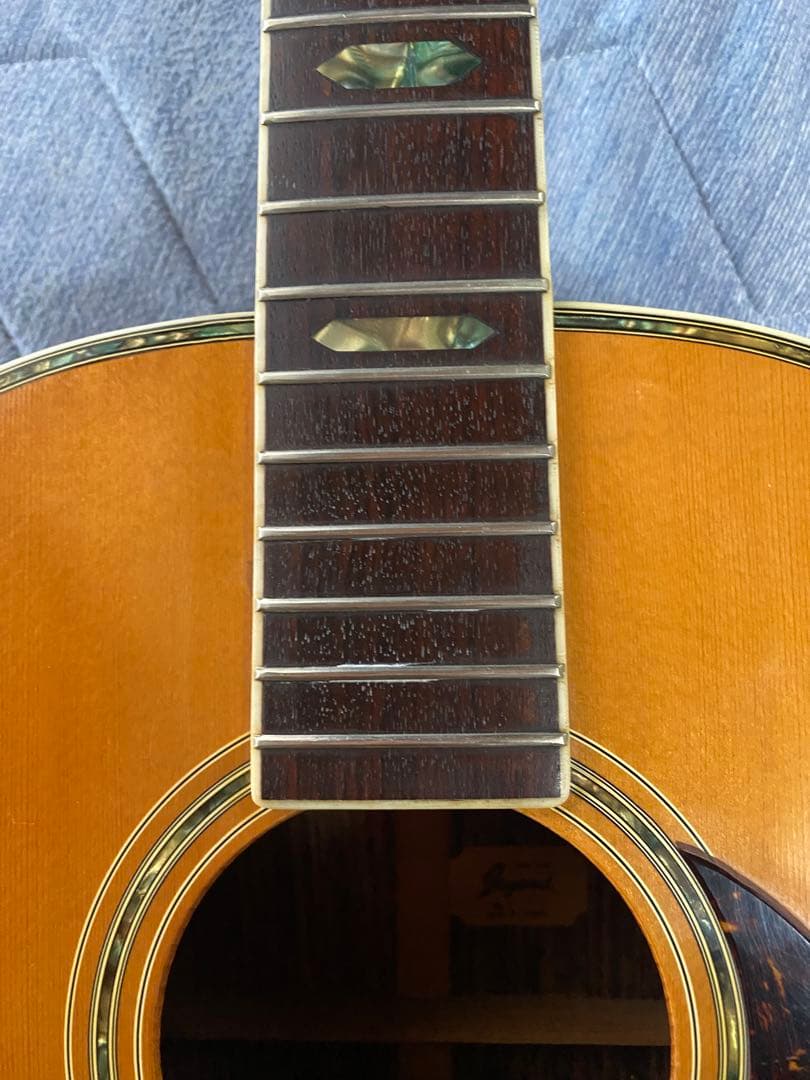 JAGARD VF600(VP60) バイオリンシェイブギター