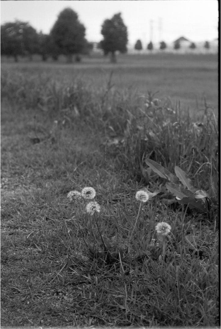 【希少】Takumar 58mm f/2.4 M42レンズ pentax