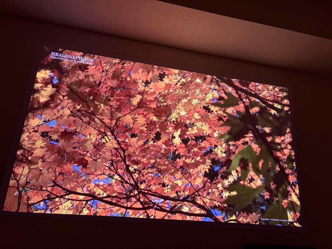 JMGO N1 ultra 4K 映画館級のレーザー搭載プロジェクター