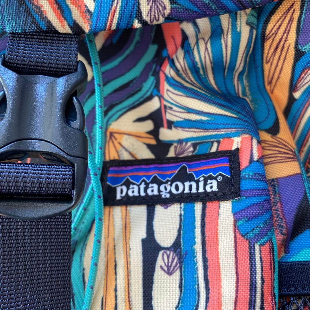 希少デザイン⭐︎パタゴニア キッズ・レフュジート・デイパック 18L JOYP