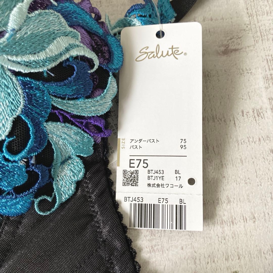 【サルート】 E75&ソングM レトロモダン　53G