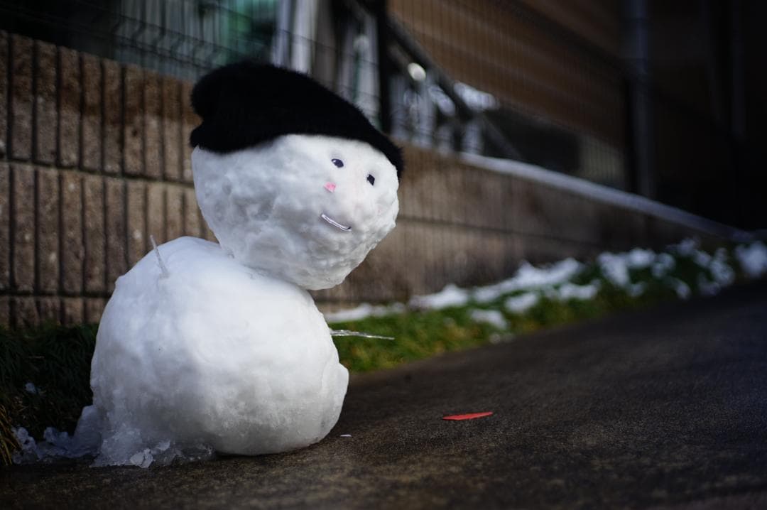 Leica SUMMICRON-R 50mm F2 １カム 純正フード付