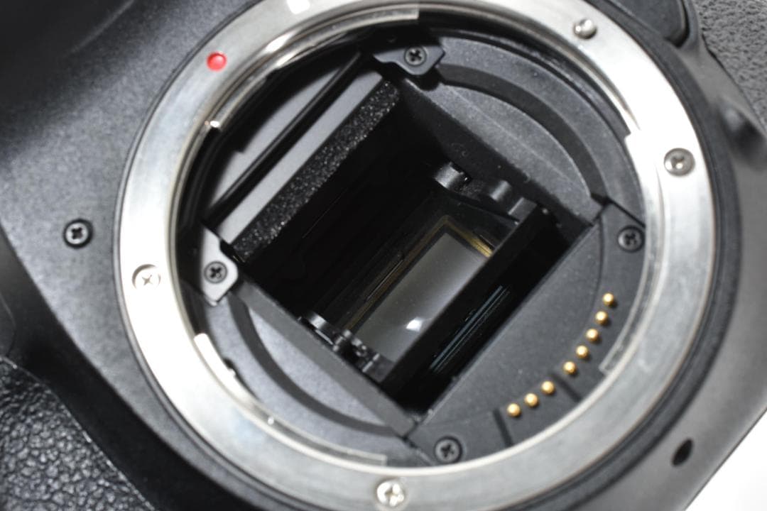キヤノン Canon EOS 7D ダブルレンズセット 手ぶれ補正付 すぐ使える