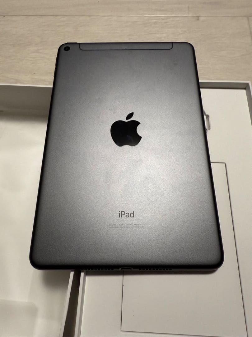 iPad miniスペースグレー 256GB 第5世代 SIMフリー