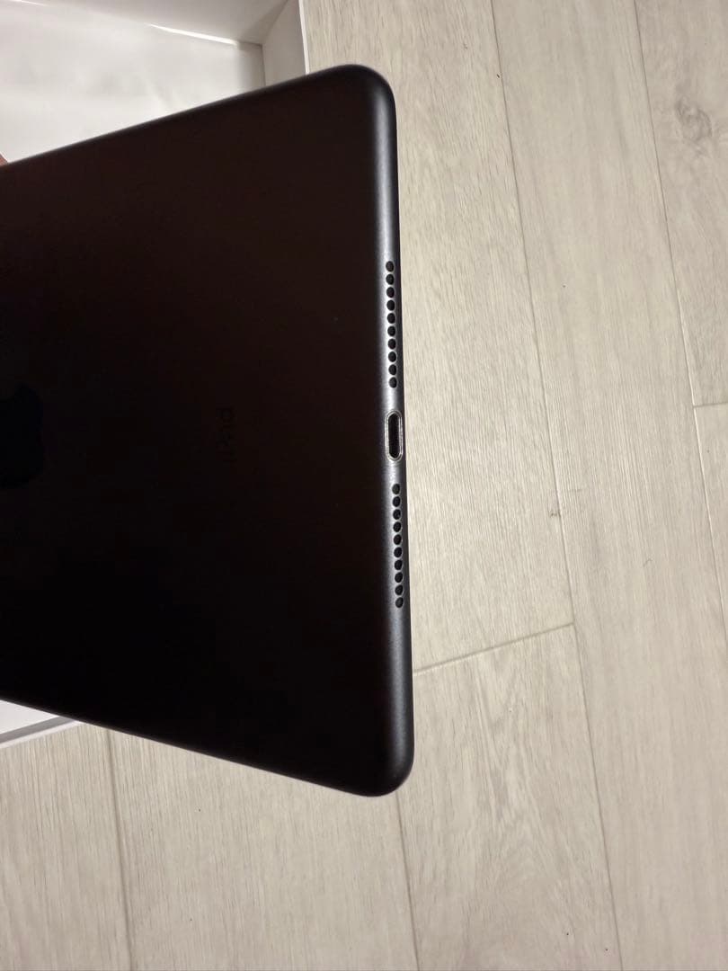 iPad miniスペースグレー 256GB 第5世代 SIMフリー