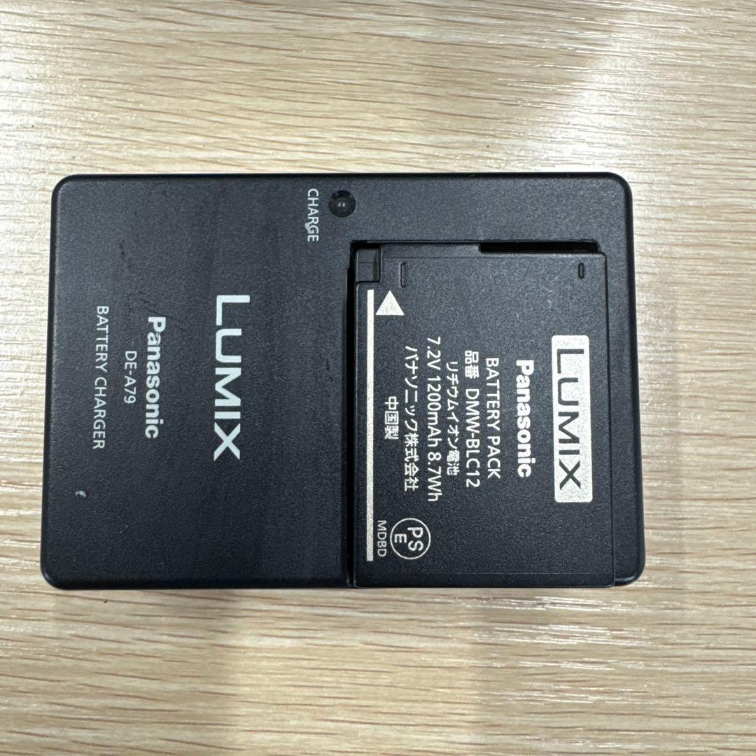 LUMIX GX8（ボディ）+予備バッテリー+チャージャー