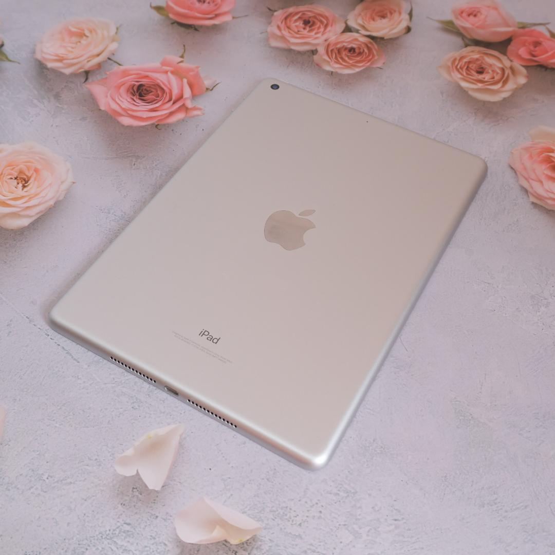 iPad 第5世代 32GB Wi-Fiモデル 画面きれい 未設定 動作確認済