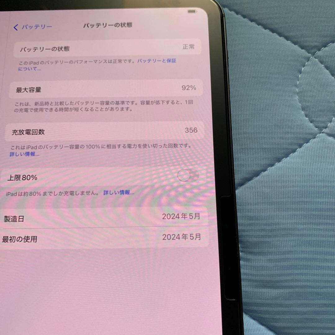 美品iPad Pro11インチ第5世代m4チップ