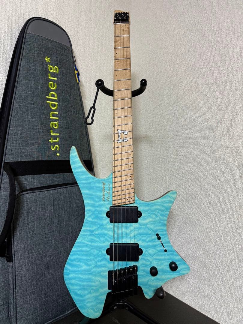 Strandberg Borden RAS6 ストランドバーグ バンドリ