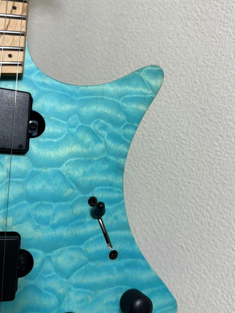 Strandberg Borden RAS6 ストランドバーグ バンドリ