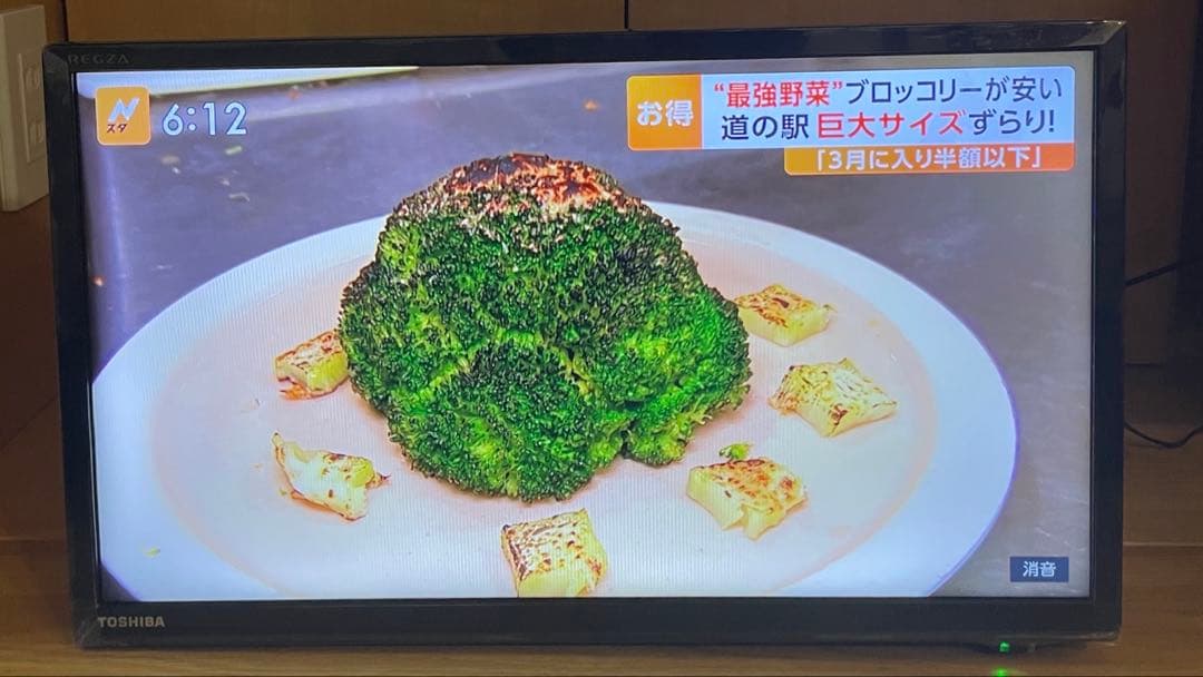 TOSHIBA REGZA レグザ テレビ 19S22 2019年製