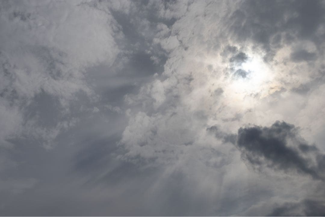 Canon（キヤノン）EF 50 MM F 1.2 L USM レンズのみ