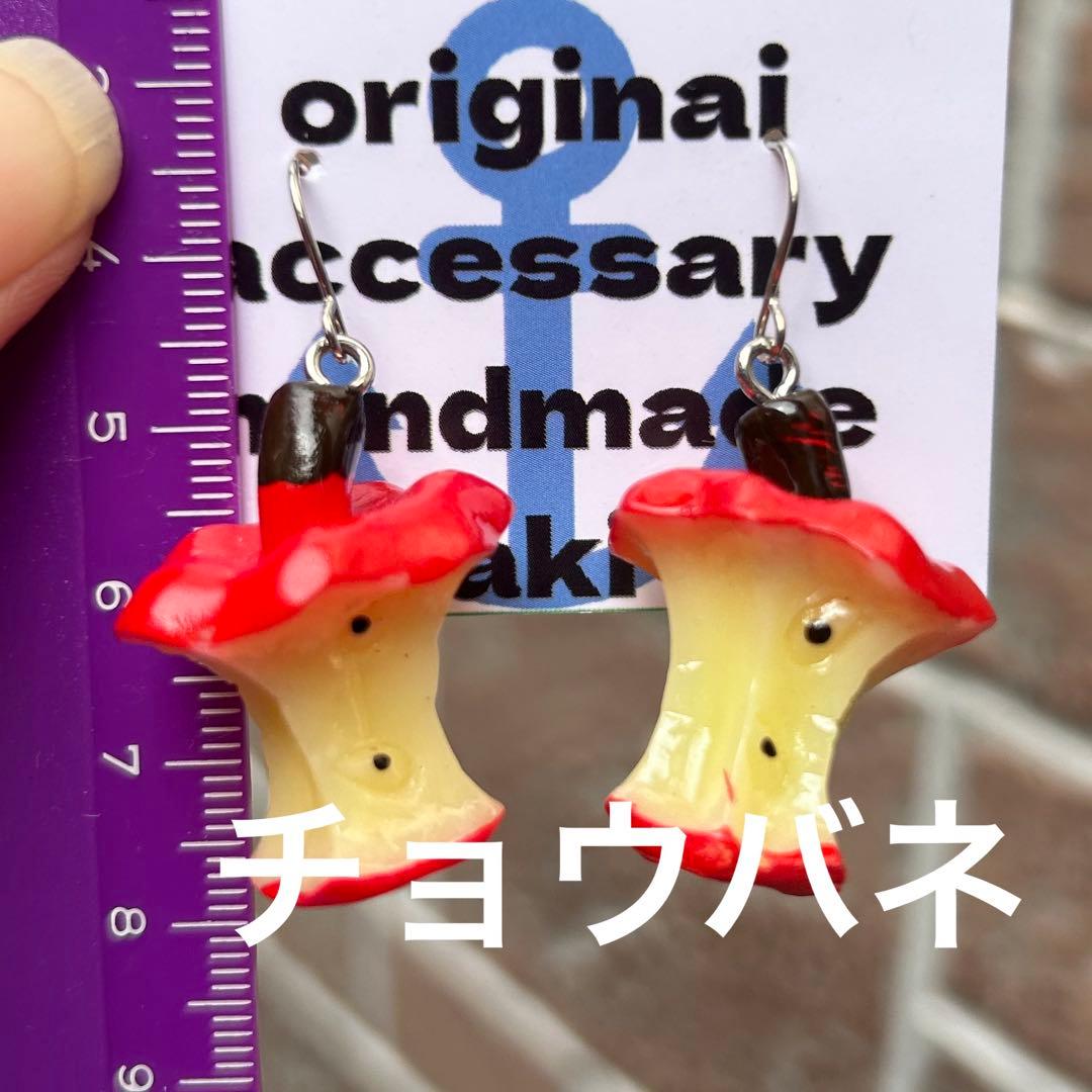 りん5※整理整頓中さま専用ノンホールチョウバネ