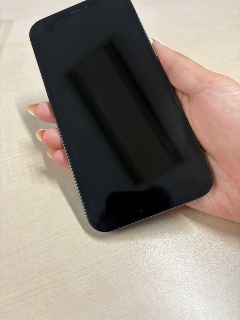 Apple iPhone 13 Pro シエラブルー256GB hiace