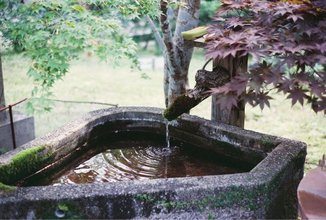 Fujica compact deluxe ＋ 付属品