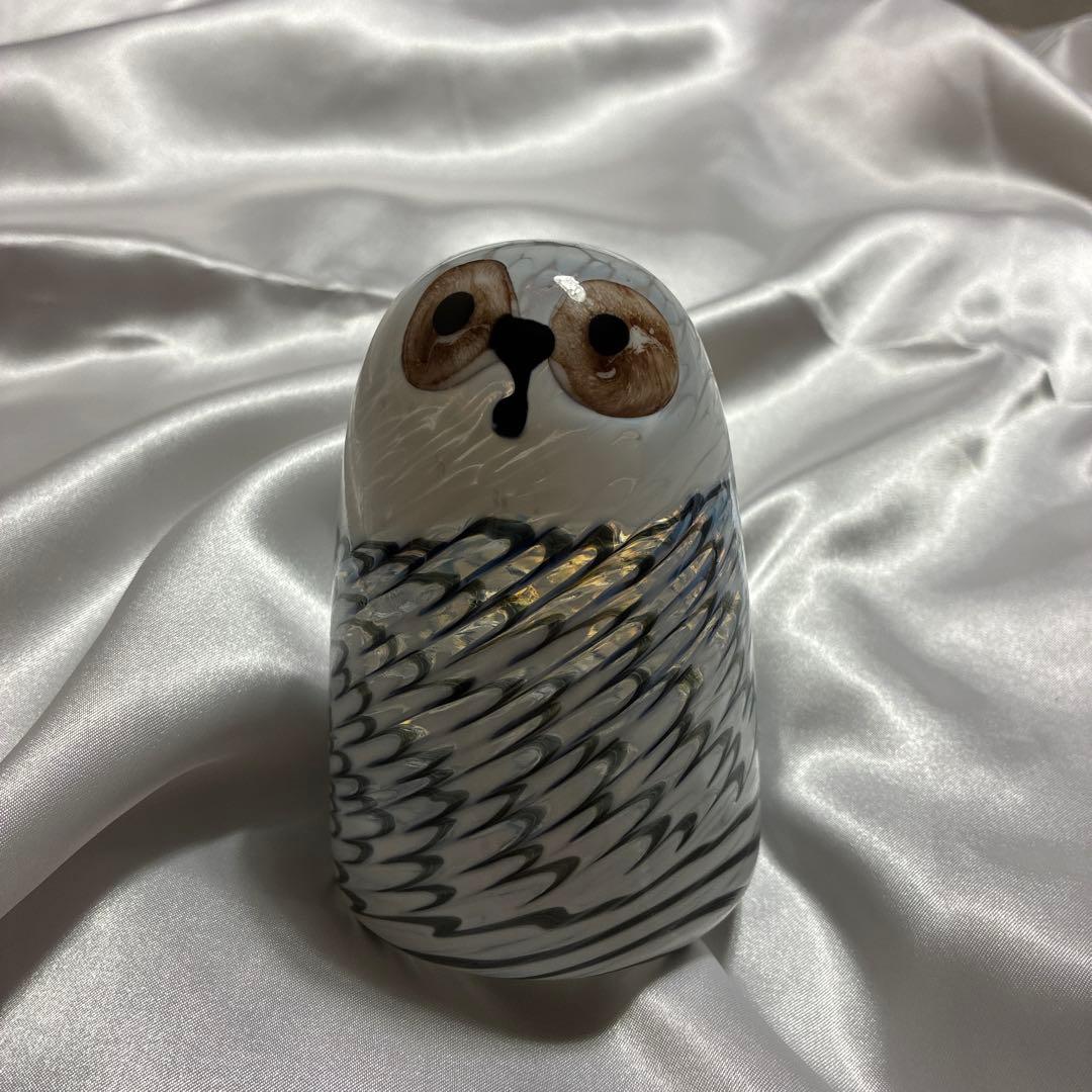  Lumi バード Owlet owl フクロウ
