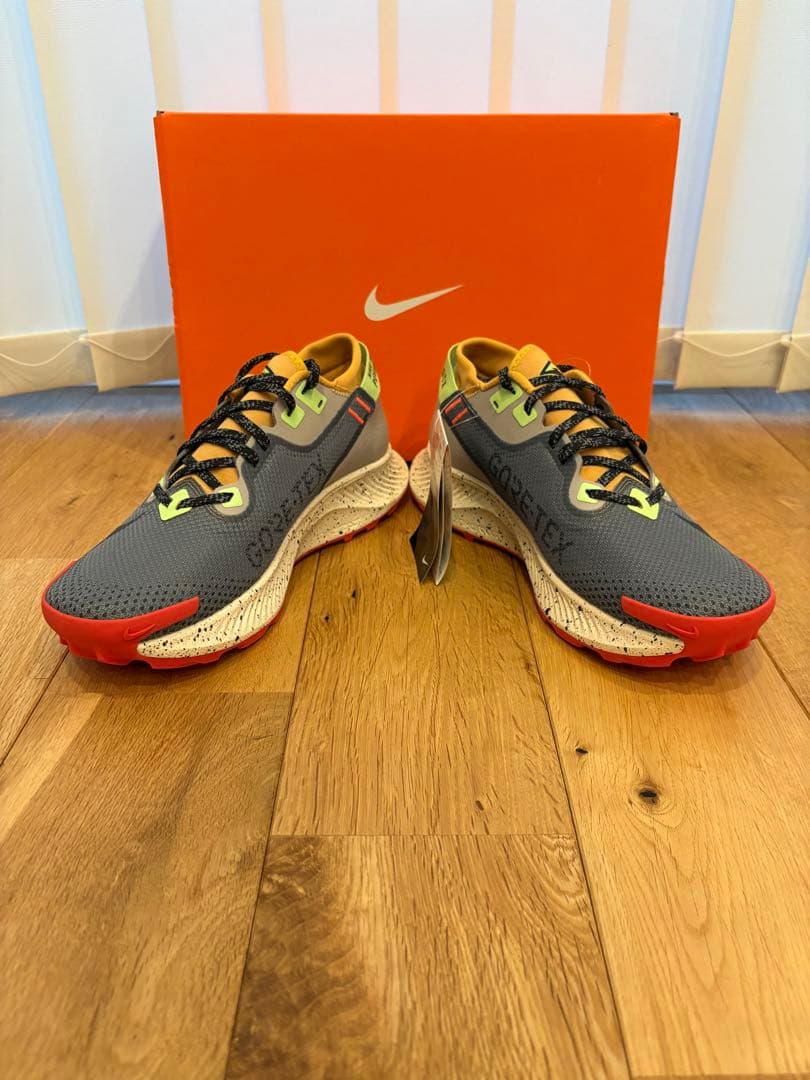 靴 Nike Pegasus Trail 2 GTX 25.5cm(US7.5)