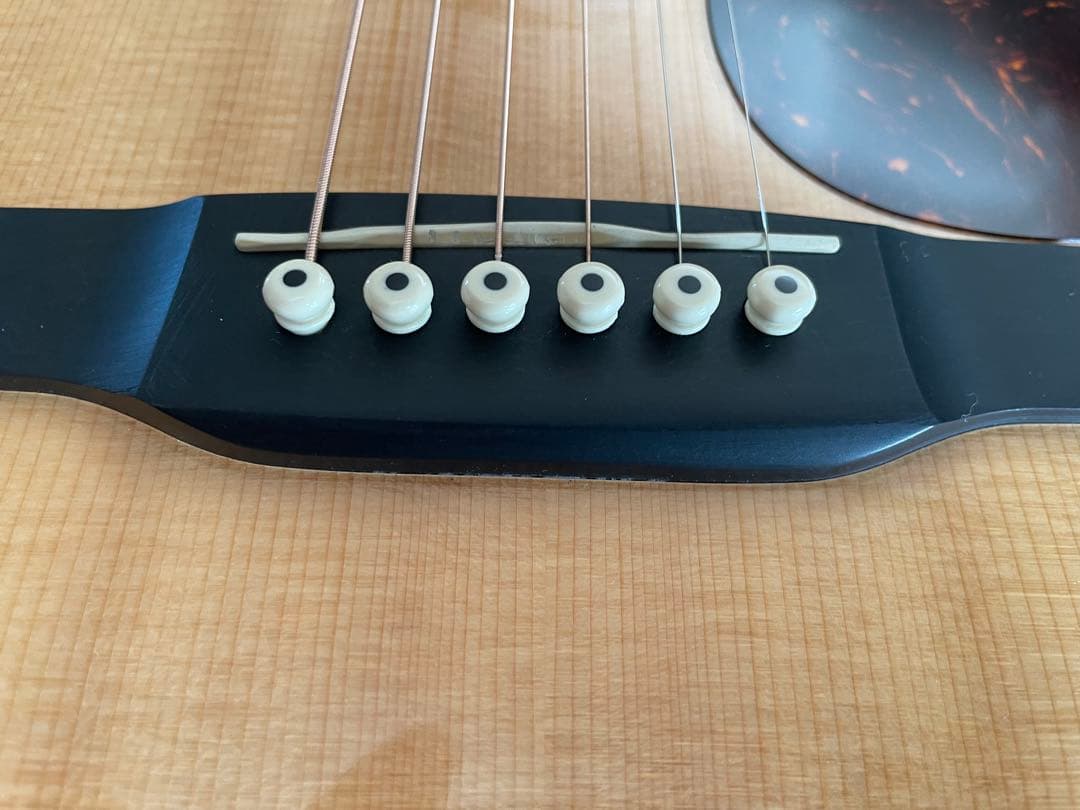 【説明・プロフ必読！】Martin & Co. D-16GT