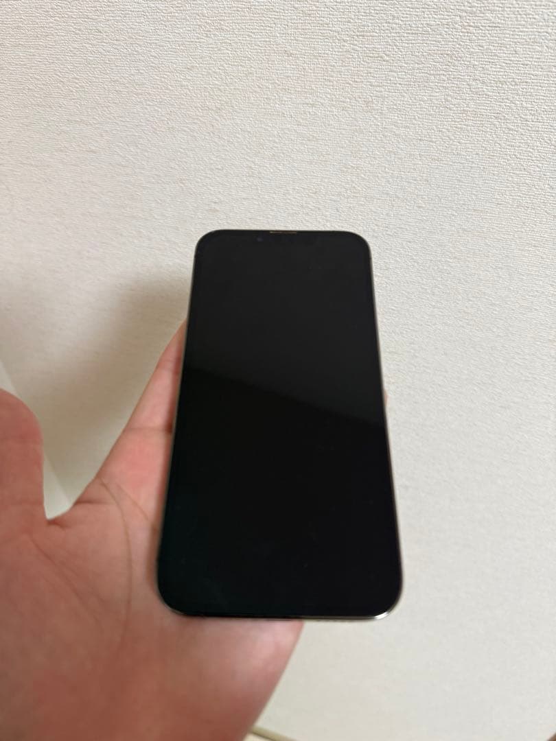 B*様 iPhone13pro 512GB