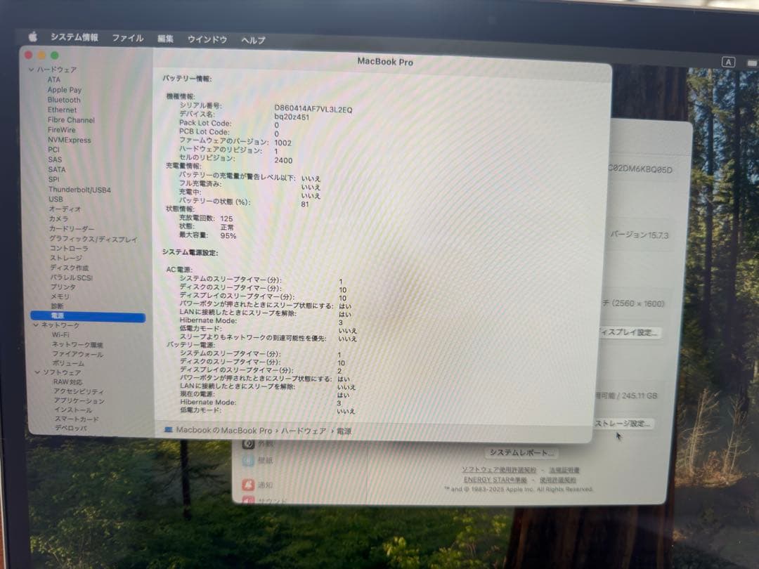 Nguyen Quoc Tuan さん