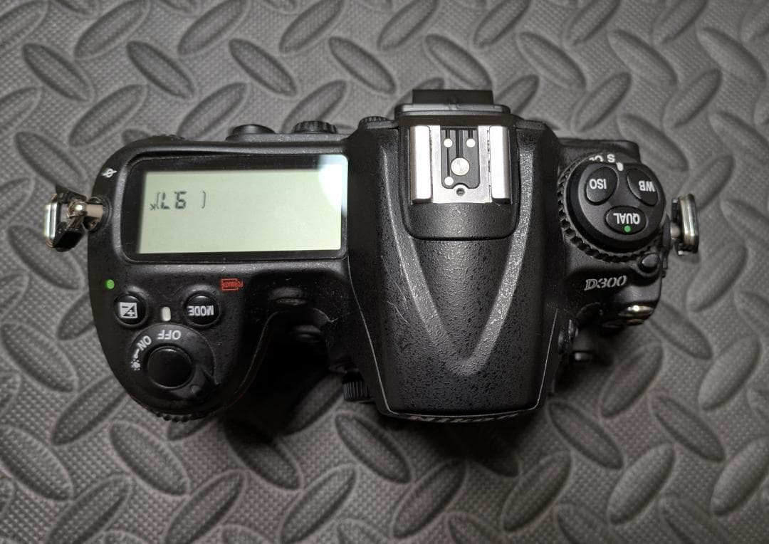 AF-S DX NIKKOR 18-200mm　本体セット　ニコン　nikon