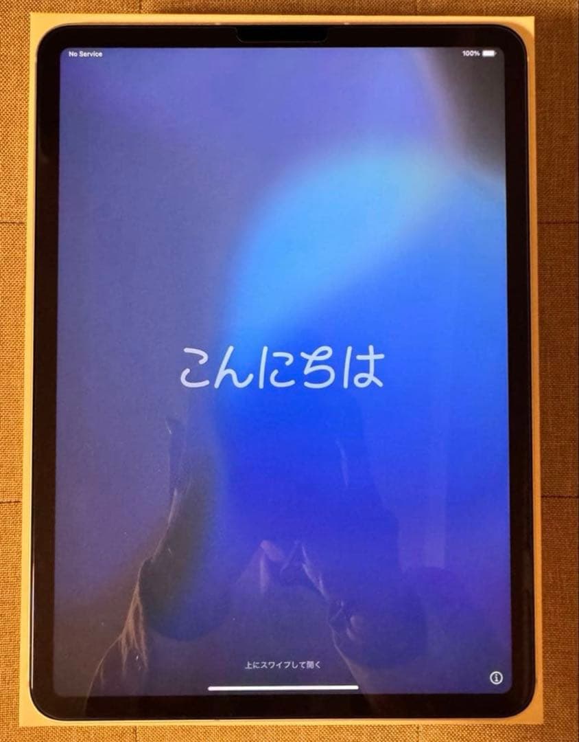 iPad Pro11インチ256GB（第3世代、M1）セルラー版