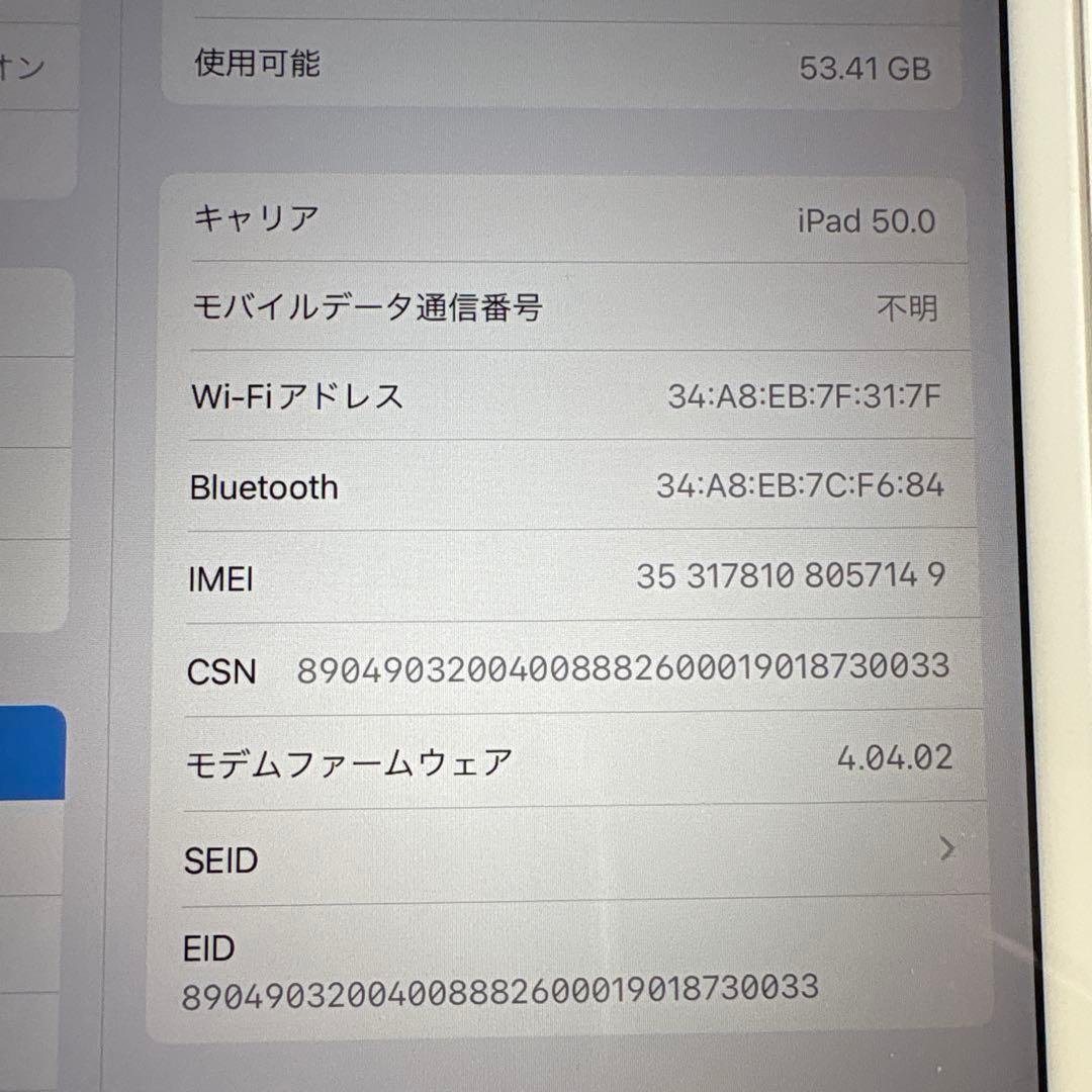 iPad mini5 セルラー 64GB SIMフリー(61)
