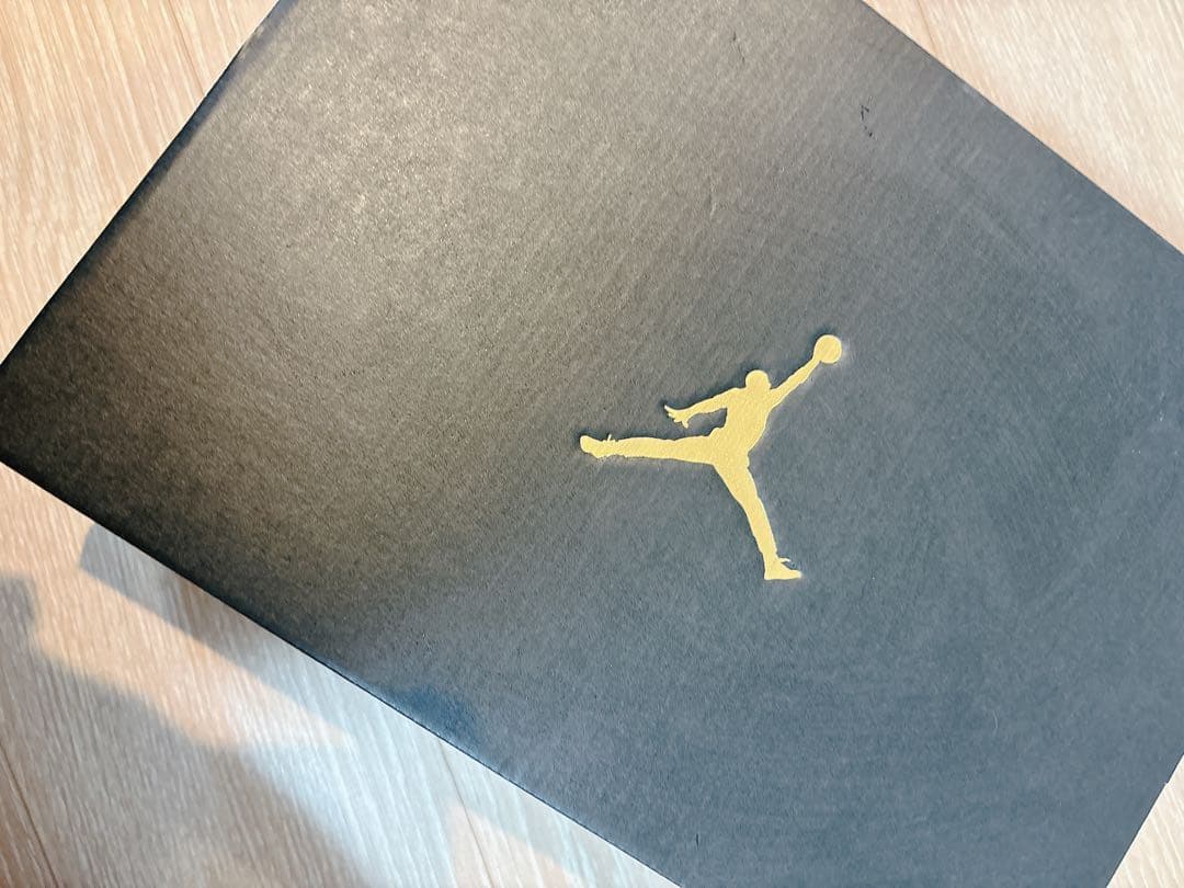 Nike エアジョーダン スニーカー 29.0