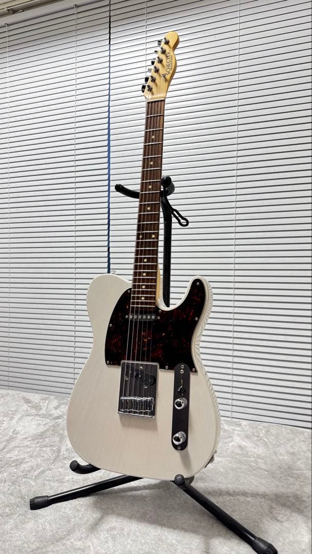 SCHECTER 凛として時雨 TKモデル PA-LS/TK