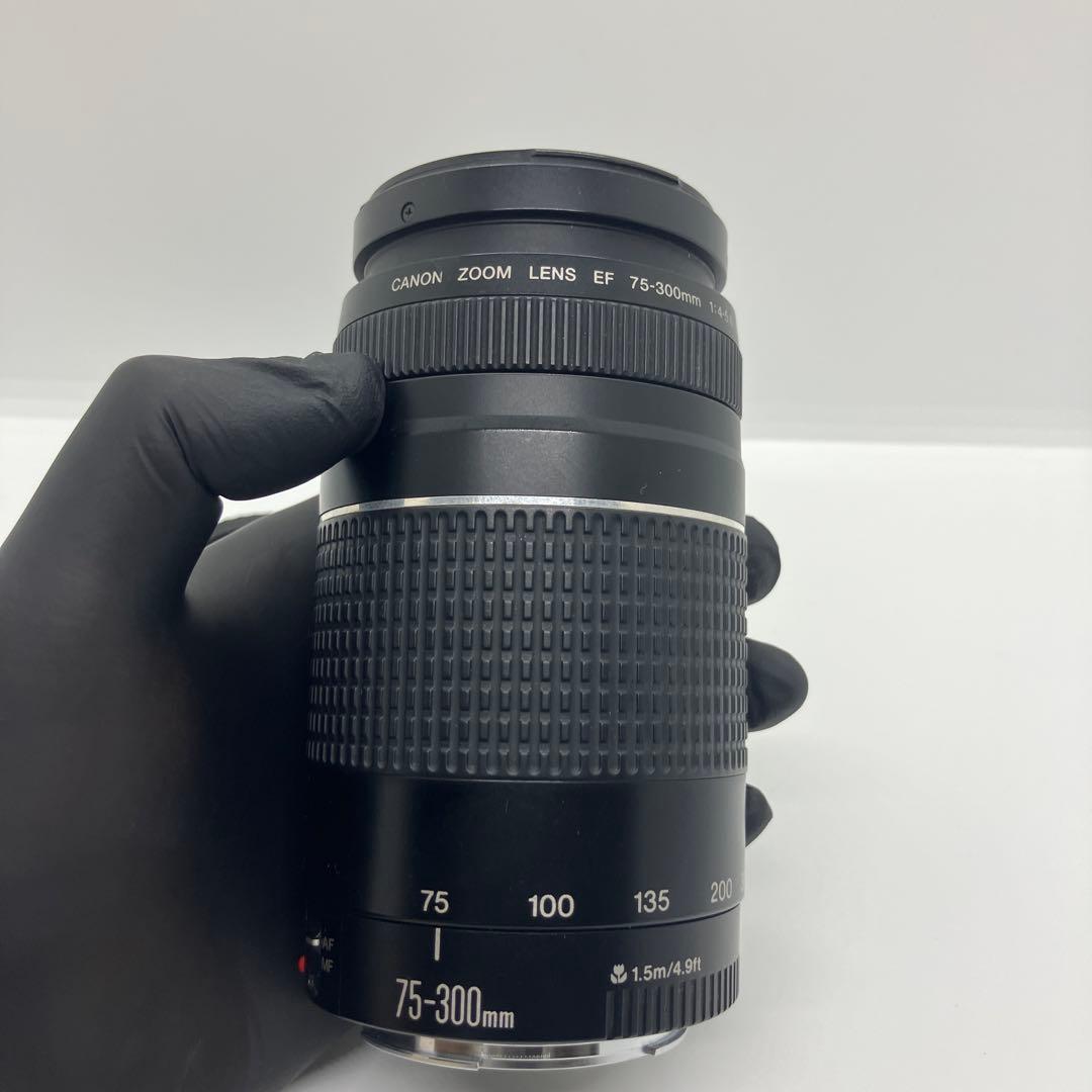 CANON ZOOM LENS EF 75-300 4-5.6 Ⅲ