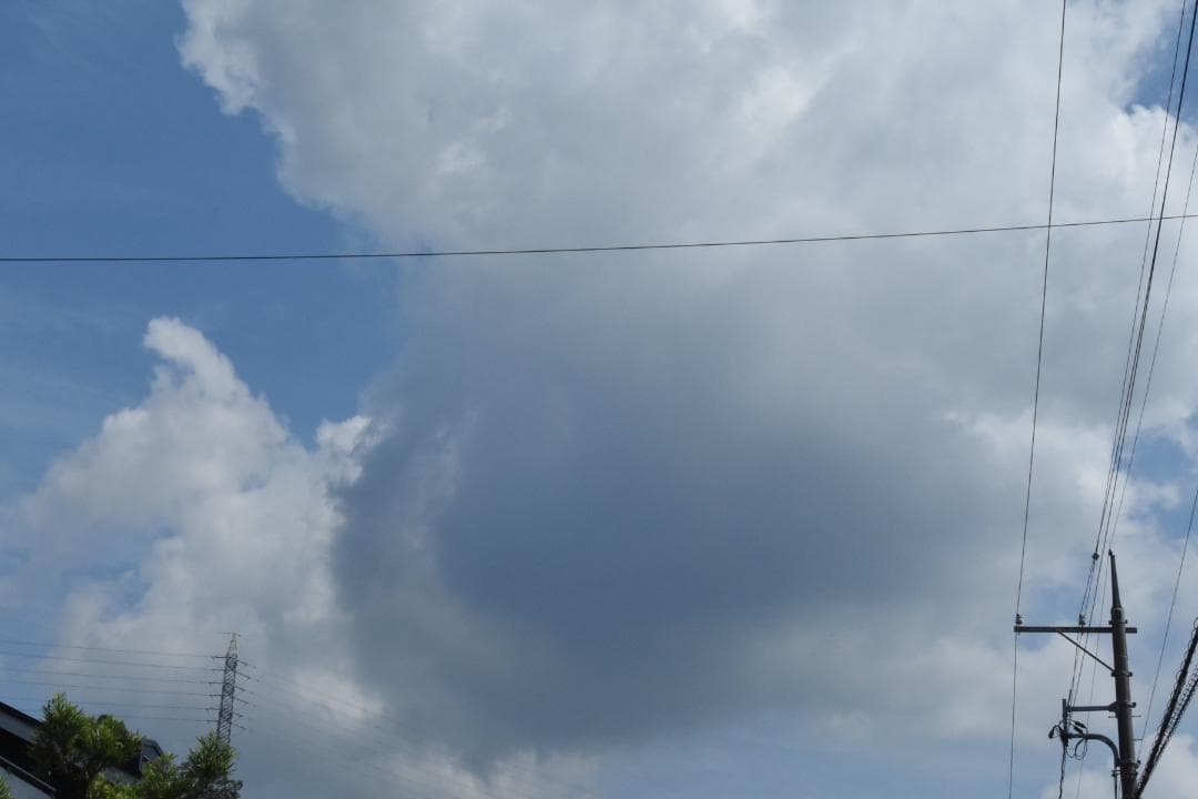 レンズ(ズーム) Nikon AF Nikkor 20-35mm F2.8D