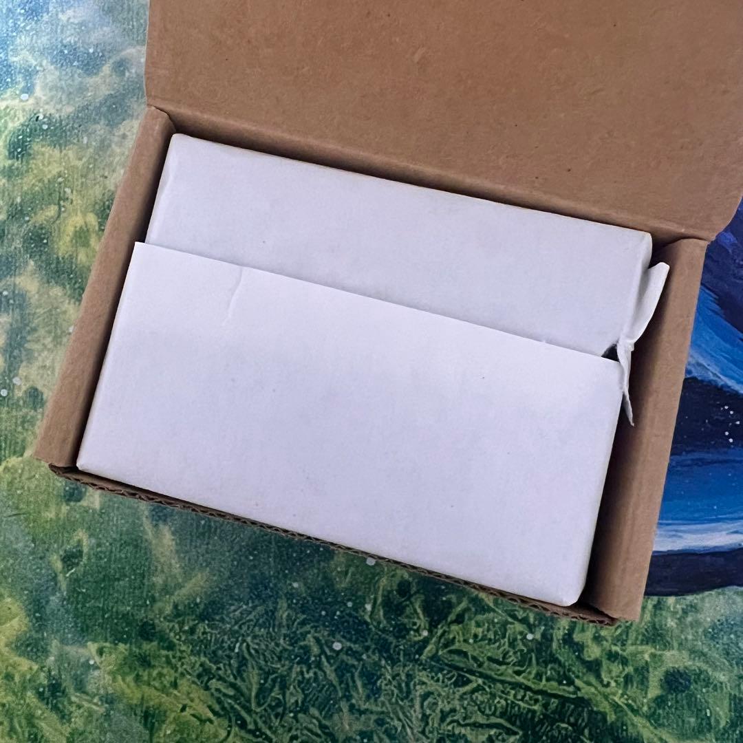 MTG Raining Cats & Dog 開封済未使用品