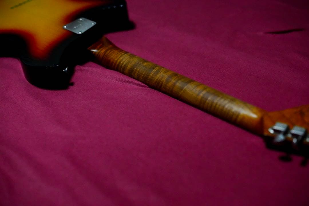 NOVO Serus T / 公式Insta掲載個体 / 3.13kg/fano