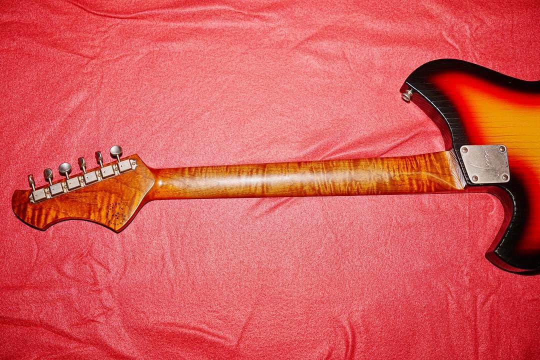 NOVO Serus T / 公式Insta掲載個体 / 3.13kg/fano