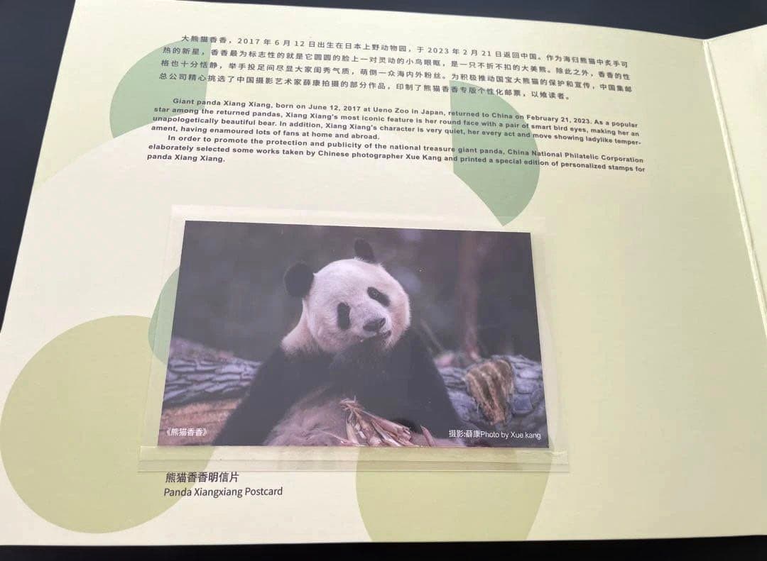 専用　シャオシャオ レイレイ　シャンシャン