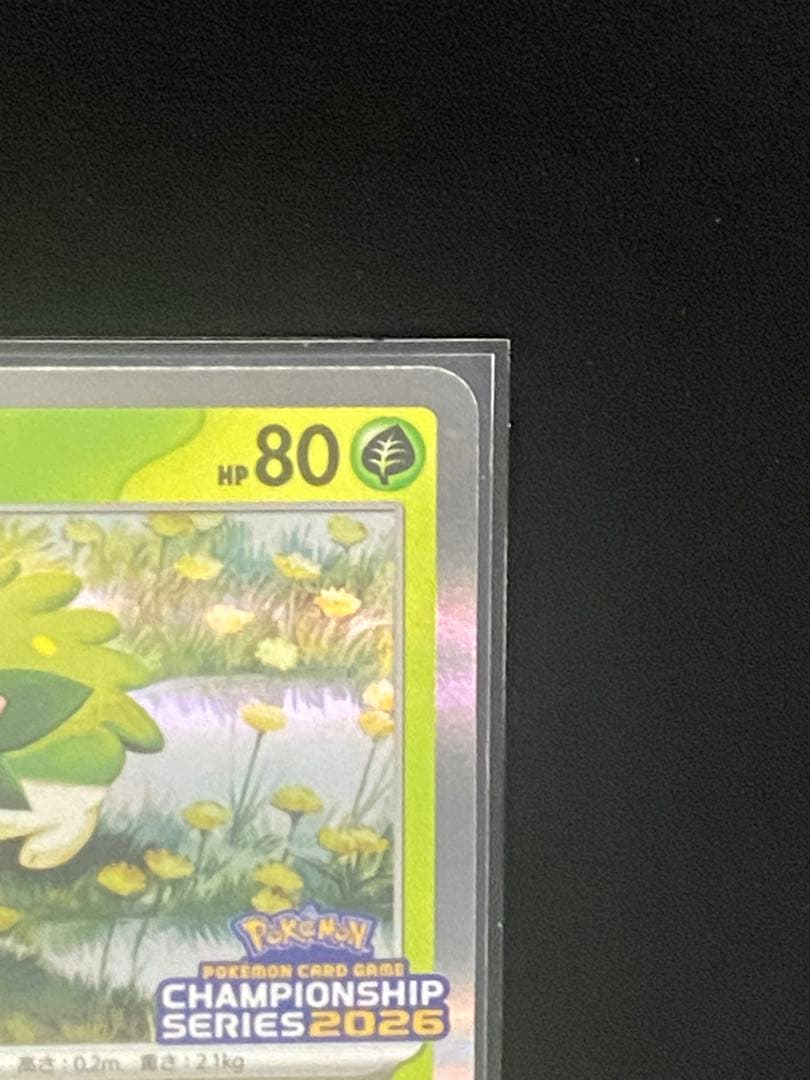 【CL愛知】ロケット団のミュウツーex＆シェイミ